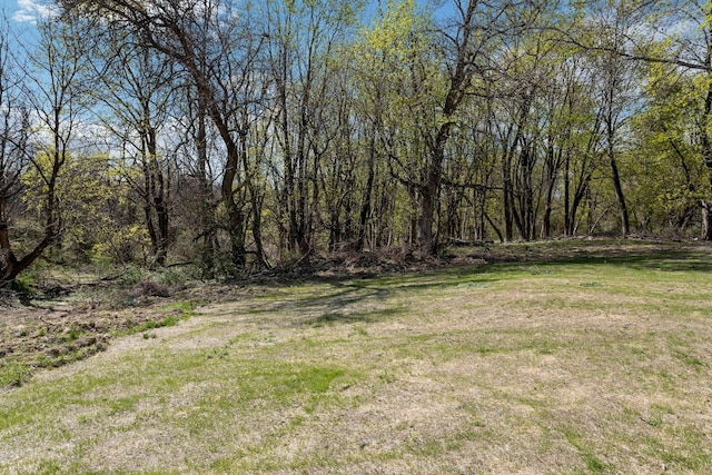 21 Kent Rd, Hopewell Junction, NY 12533 - view of yard
