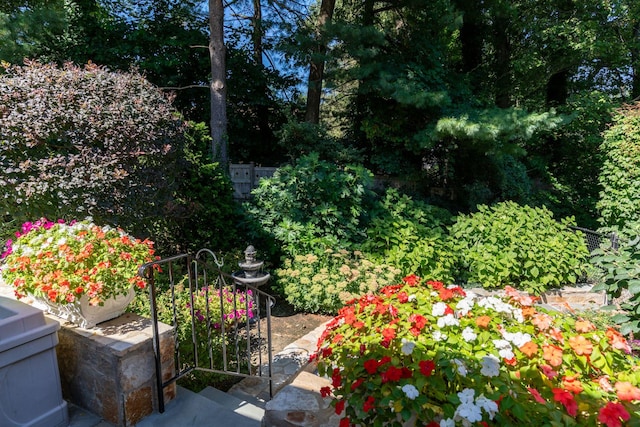 28 Stepping Stone Cres, Dix Hills, NY 11746 - view of yard