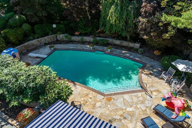 28 Stepping Stone Cres, Dix Hills, NY 11746 - outdoor pool featuring a patio and a diving board