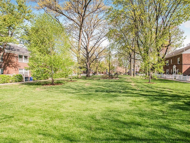 77 Hilltop Acres Unit 77, Yonkers, NY 10704 - view of yard