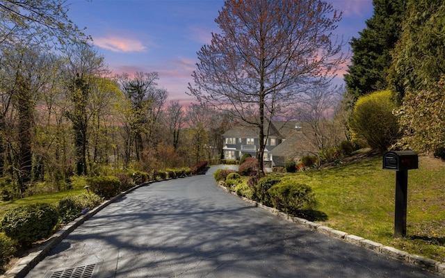 view of street with curbs and aphalt driveway
