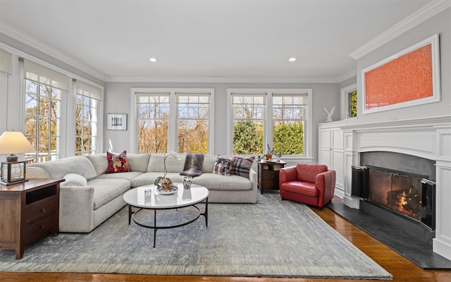 living area with a glass covered fireplace, wood finished floors, a wealth of natural light, and ornamental molding