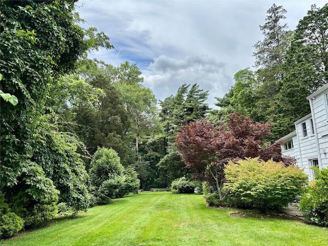12 W Mall Dr, West Hills, NY 11743 - view of grassy yard