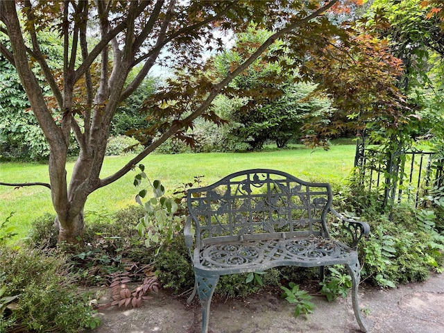 12 W Mall Dr, West Hills, NY 11743 - view of green lawn