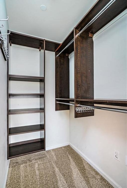 spacious closet featuring carpet