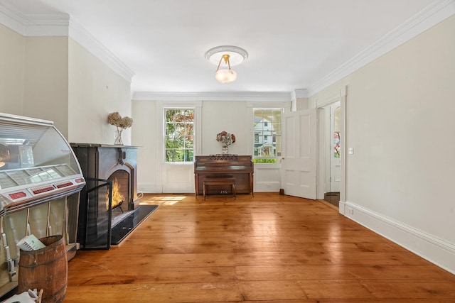 64 Paulding Ave, Cold Spring, NY 10516 - interior space with ornamental molding, a premium fireplace, and hardwood / wood-style floors