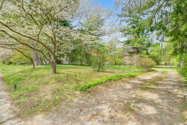 64 Paulding Ave, Cold Spring, NY 10516 - view of yard