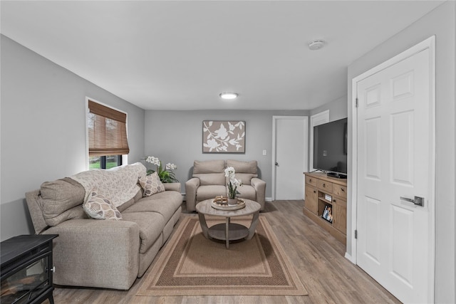 living area with light wood-type flooring