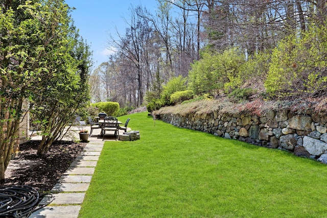 view of yard