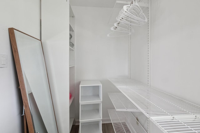 spacious closet featuring wood finished floors