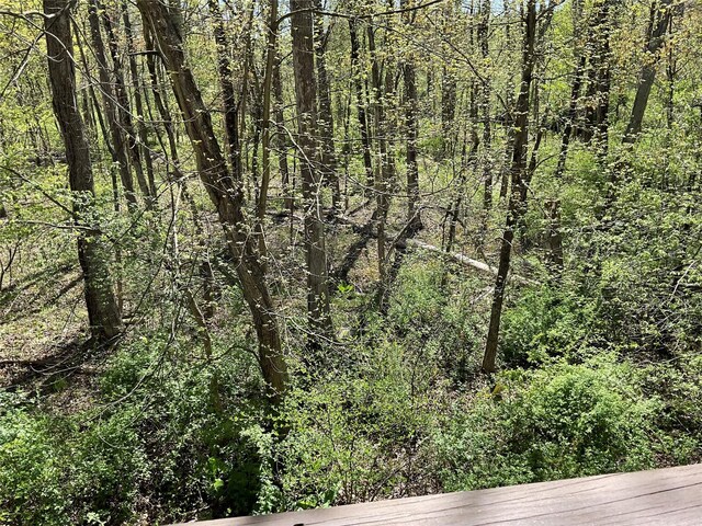view of local wilderness with a forest view