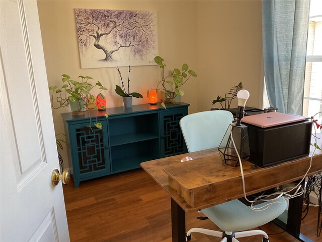 office area featuring wood finished floors