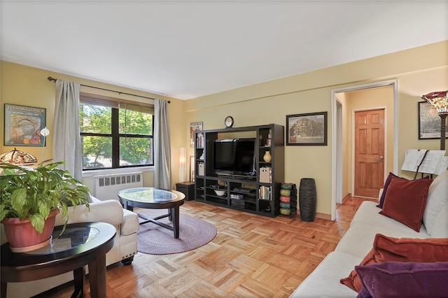 52-15 65th Pl Unit 2A, Maspeth, NY 11378 - living room with radiator heating unit