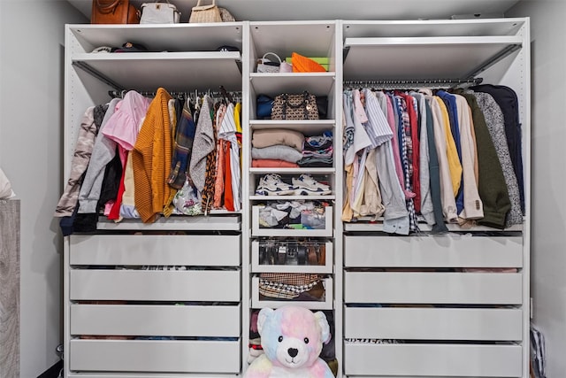 view of closet