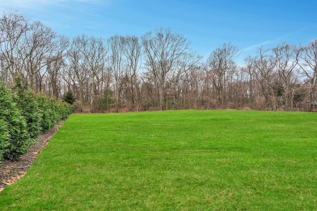539 Split Rock Rd, Syosset, NY 11791 - view of yard