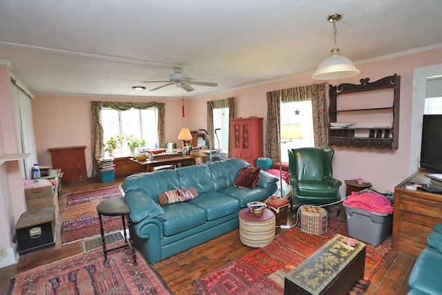 living area featuring ceiling fan, ornamental molding, visible vents, and wood finished floors