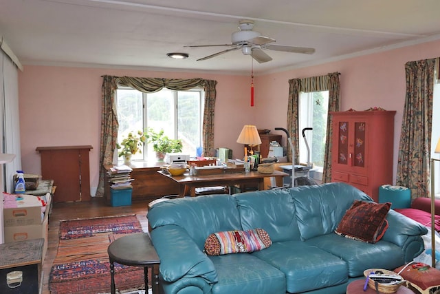 living area with ceiling fan, ornamental molding, a healthy amount of sunlight, and wood finished floors