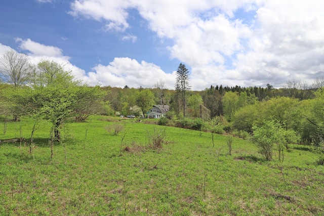 view of nature with a rural view and a view of trees