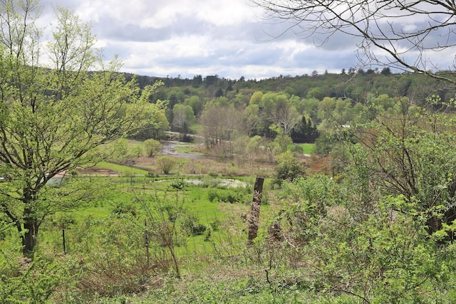 view of landscape with a forest view