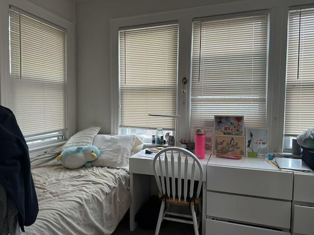 bedroom featuring multiple windows