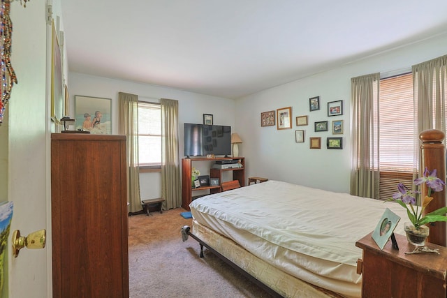 15 Hickory Hill Dr, Warwick, NY 10990 - view of carpeted bedroom