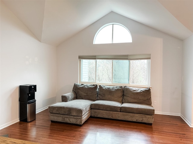 living area featuring baseboards, wood finished floors, and lofted ceiling