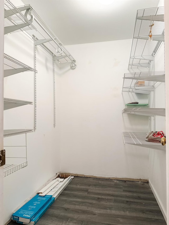walk in closet featuring dark wood-type flooring