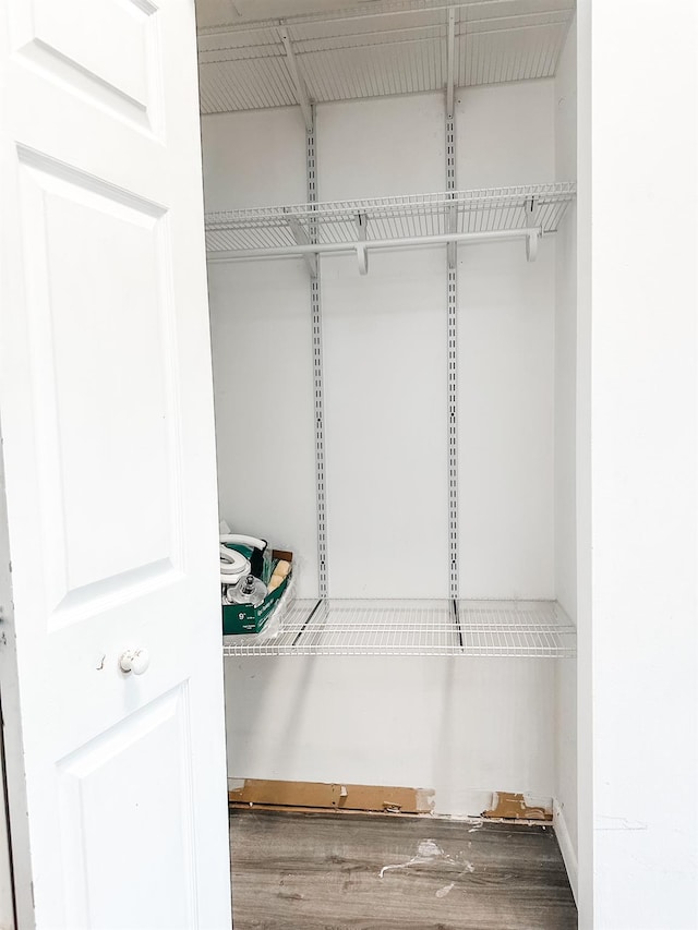 view of closet