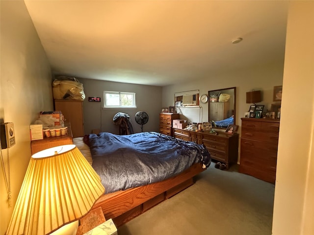 11 Columbus Ave, Brentwood, NY 11717 - bedroom with carpet floors