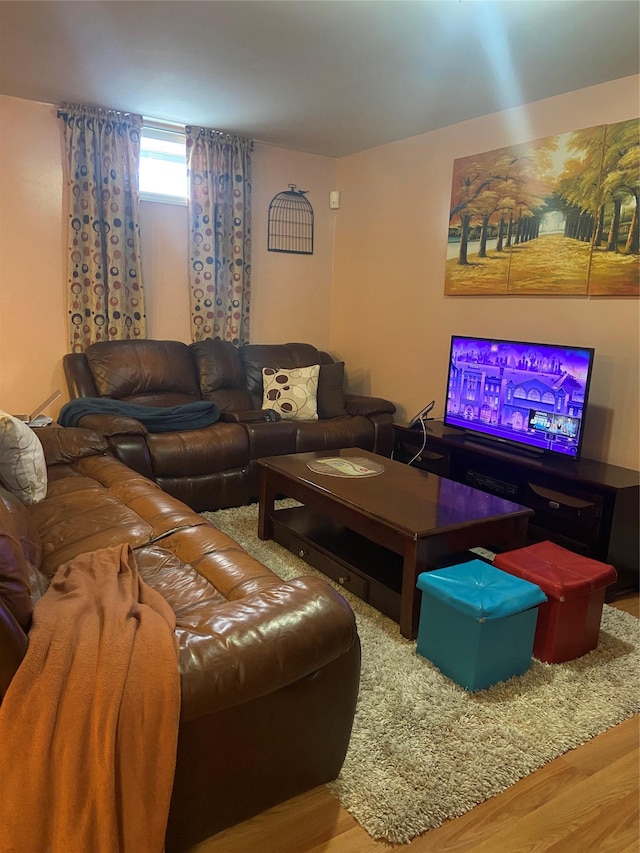 living room with wood finished floors