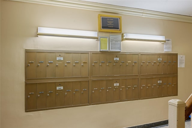 212-03 75th Ave Unit 5A, Bayside, NY 11364 - hallway with mail area