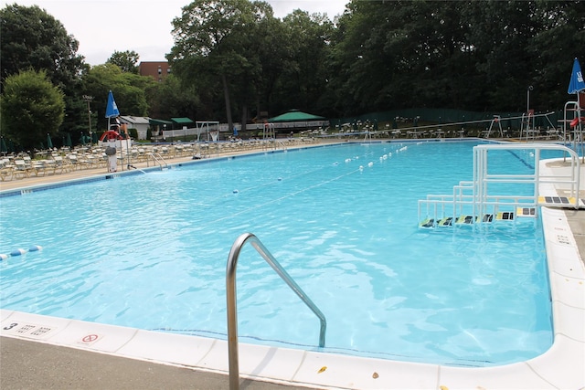 212-03 75th Ave Unit 5A, Bayside, NY 11364 - community pool with view of scattered trees