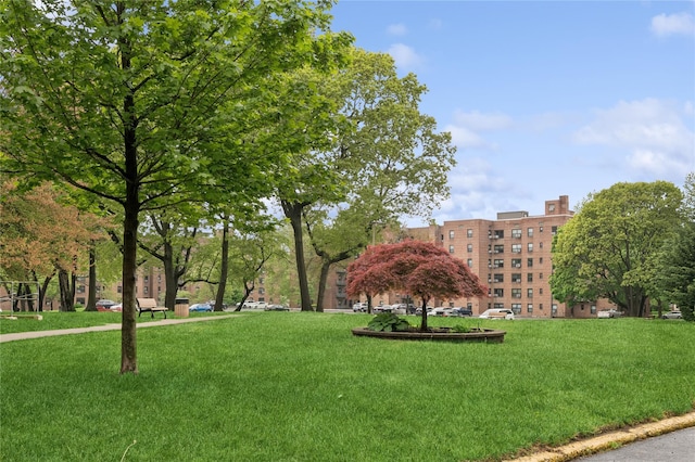 212-03 75th Ave Unit 5A, Bayside, NY 11364 - surrounding community featuring a yard