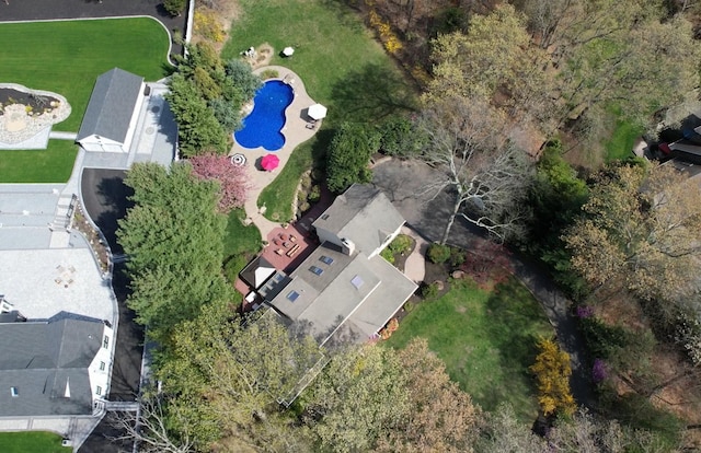 bird's eye view