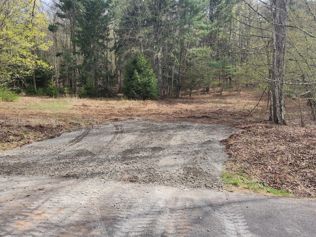 44 Oak Ridge Rd, Greenfield Park, NY 12435