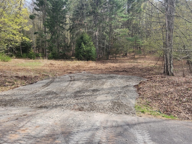 44 Oak Ridge Rd, Greenfield Park, NY 12435