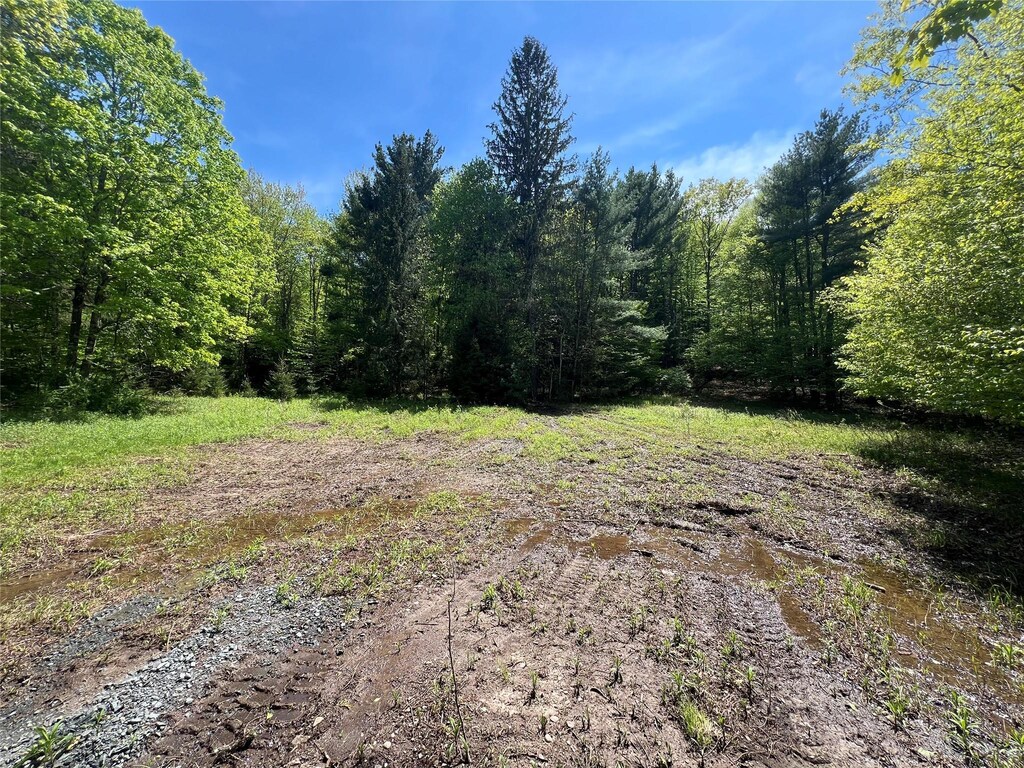 44 Oak Ridge Rd, Greenfield Park, NY 12435