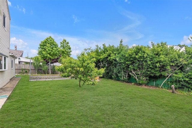 102 Spruce Ln, Valley Stream, NY 11581 - view of yard