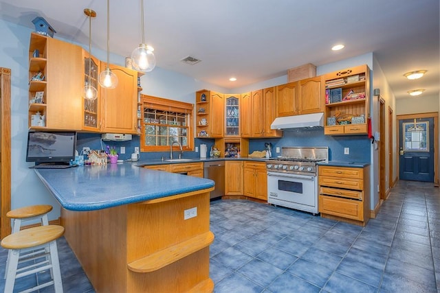 kitchen with visible vents, appliances with stainless steel finishes, open shelves, a sink, and under cabinet range hood