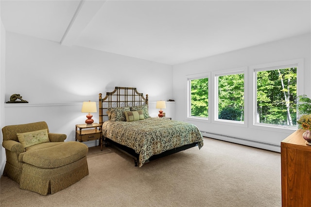 240 Brady Rd, Warwick, NY 10990 - carpeted bedroom with a baseboard radiator