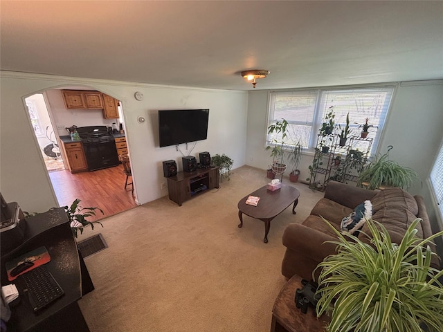 living area with arched walkways, light carpet, and ornamental molding