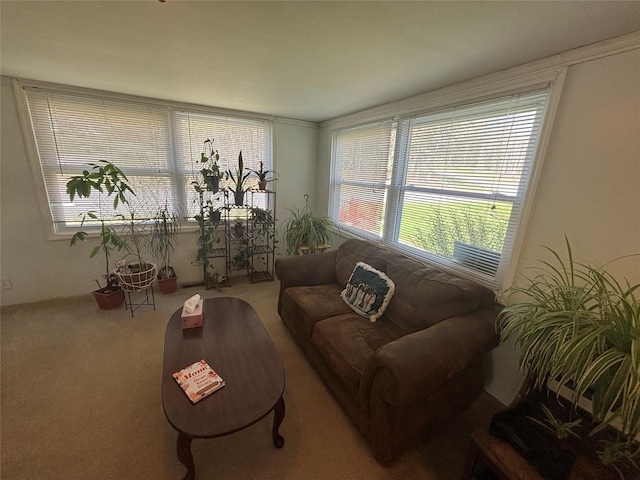 carpeted living area with a healthy amount of sunlight