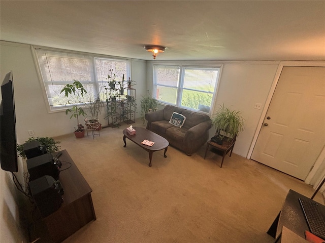 view of carpeted living room