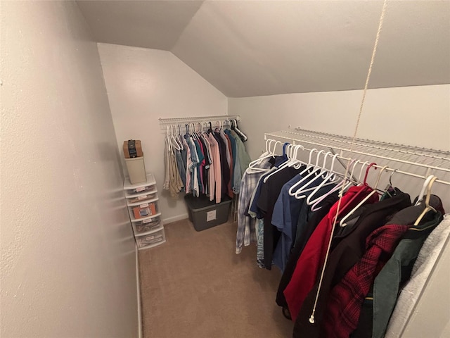 walk in closet featuring lofted ceiling and carpet