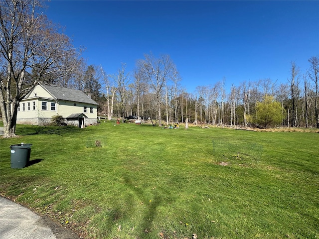 view of yard