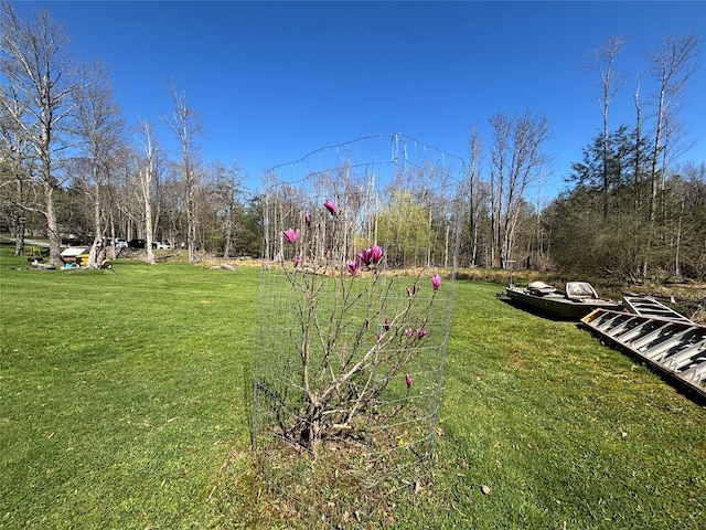 view of community with a lawn