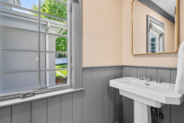 bathroom featuring ornamental molding and a wainscoted wall