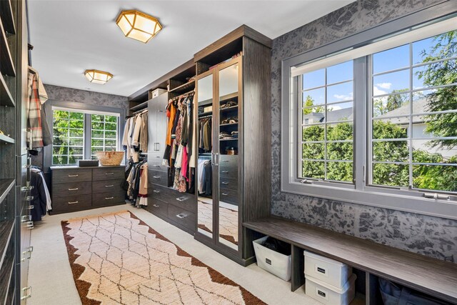 walk in closet with light carpet