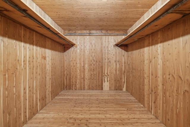 54 Cedar St, Stony Brook, NY 11790 - view of spacious closet