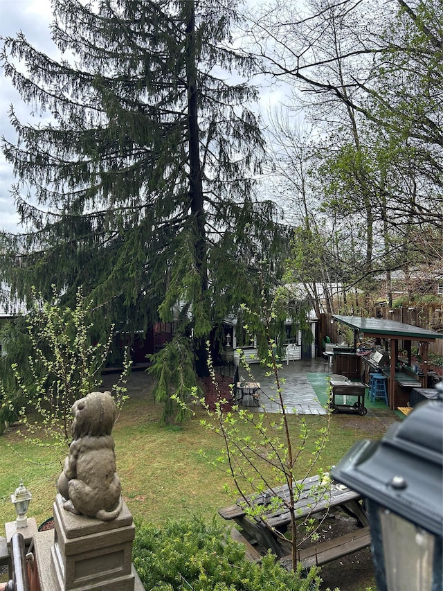 view of yard with a vegetable garden